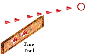 trail6